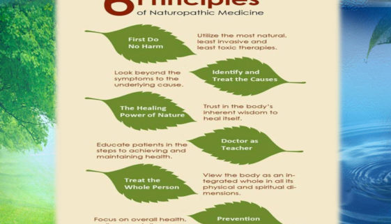 naturopathyprinciples