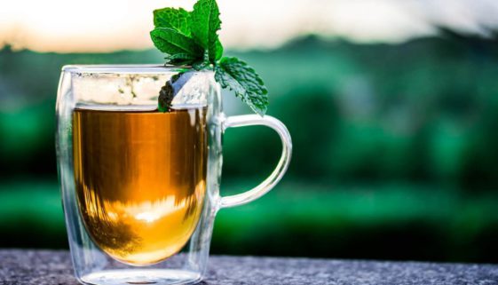 teacup-2325722_19201